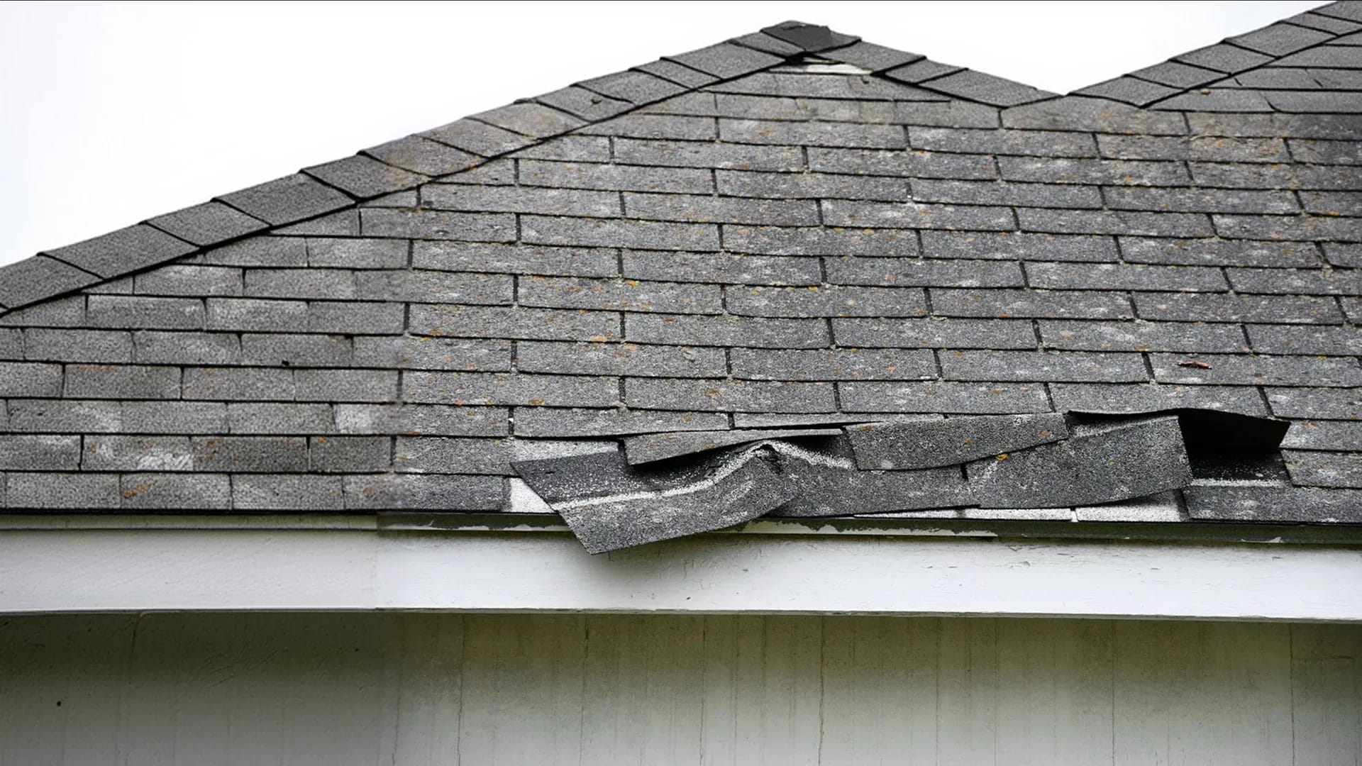 Damaged asphalt shingles requiring roof replacement